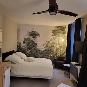 Appartement Ainay/centre Lyon/un Cocon !, Lyon